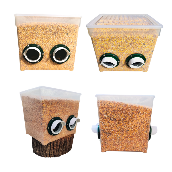 Set hrănitori pentru păsări DIY1F (1 buc.) DIY1F  foto