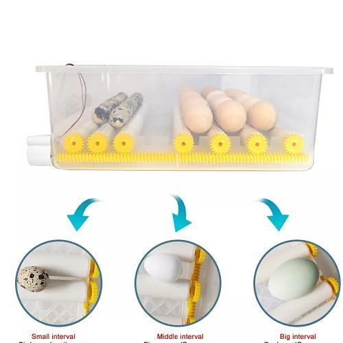 Incubator pentru oua Demetra DM-176 DM-176 foto