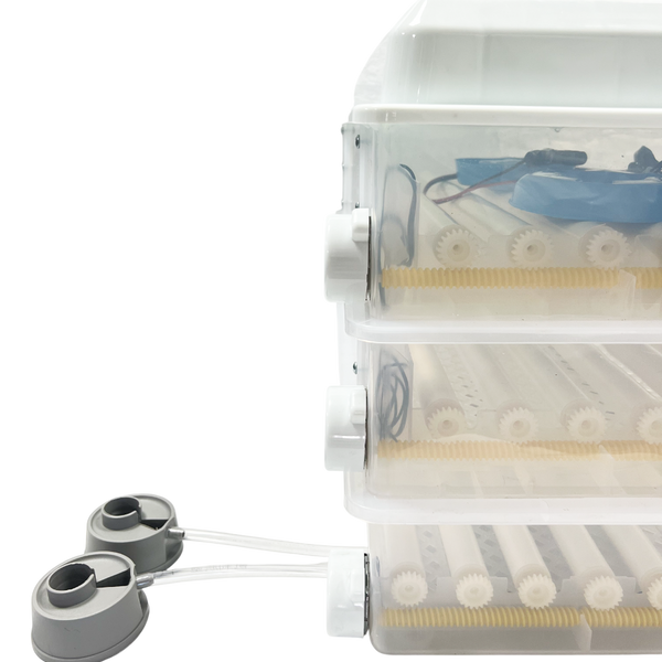 Incubator pentru oua Demetra DM-176 DM-176 foto