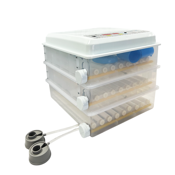 Incubator pentru oua Demetra DM-176 DM-176 foto