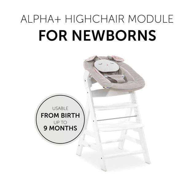 Качалка Hauck Alpha Bouncer 2 в 1 HK.113996 фото