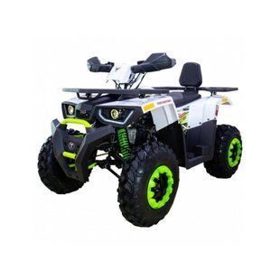 ATV pe benzină Forte 250 Braves ATA-250 foto