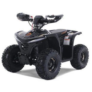 ATV electric E-HAWK 6, 1500W 6854251 foto