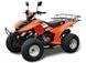 Квадроцикл бензиновый Peda Dragon 125CC ID999MARKET_6811473 фото 1