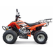 Квадроцикл бензиновый Peda Dragon 125CC ID999MARKET_6811473 фото 2