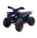 Бензиновый квадроцикл TAO MOTOR Hunter 150 II ID999MARKET_6831677 фото 1