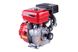 Motor pe benzină TATA 156F (4,5 CP, șponcă, 15 mm) ID999MARKET_6846243 foto 3