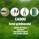Seră 3x2x2m, +Cadou, 180 g/m2, 2 intrari, 26 mm 6447005 foto 2