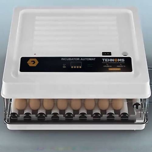 Incubator MS-70 ID999MARKET_6805675 foto