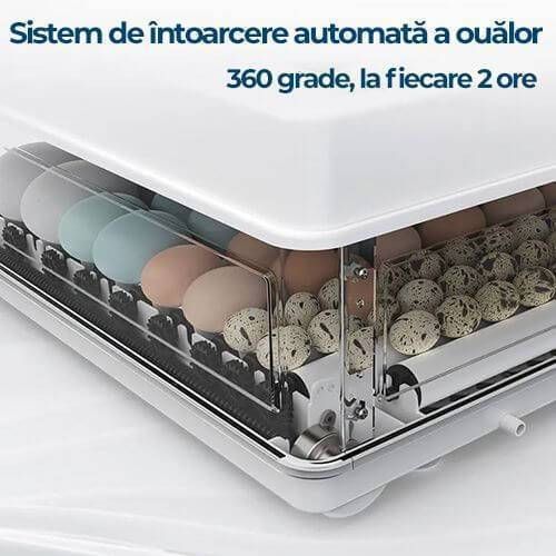 Incubator MS-70 ID999MARKET_6805675 foto