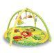 Интерактивный коврик Baby MKT490146 фото 1