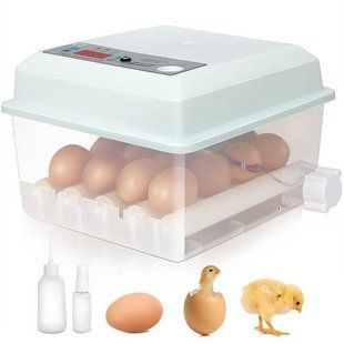 Incubator pentru oua Demetra DM-16 ID999MARKET_6805679 foto