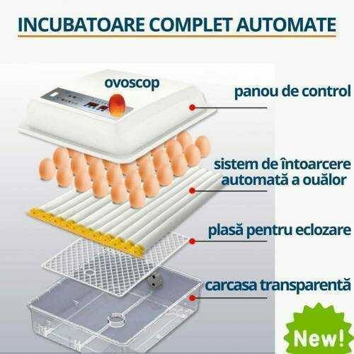 Incubatorul pentru ouă Demetra DM-36 ID999MARKET_6805681 foto