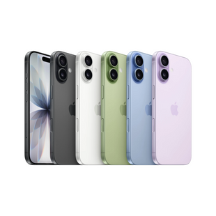 Apple iPhone 17 8GB/256GB MG6J4ZD/A фото