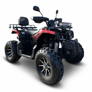 ATV pe benzină Viper 200 6820230 foto