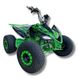 ATV electric Andes Speedy 2000W 64V, Green ID999MARKET_6812209 foto 2