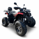 ATV pe benzină Viper 200 6820230 foto 1
