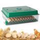 Incubator de oua Des Champs Eco Profi C-70 C-70 foto 3