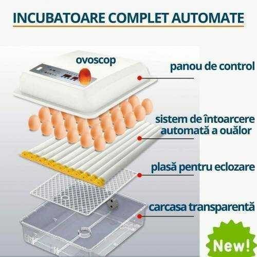 Incubator MS-36 NEW ID999MARKET_6324178 foto