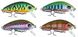 Nălucă MISO-BAIT NC Minnow 44mm 5g 212 ID999MARKET_6281034 foto 2