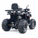 ATV pe benzină Viper 200 Activator  6820231 foto 2