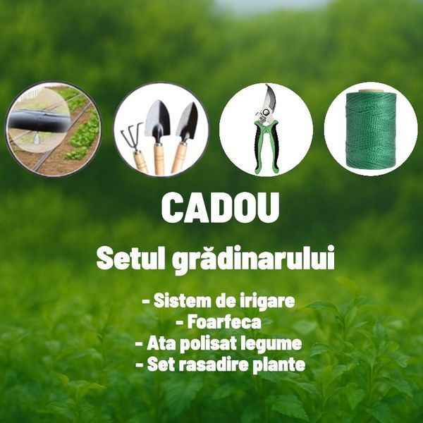 Sera 8x4x2.5m, +Cadou, 240 g/m2, 2 intrări, 32 mm 6173889 foto