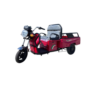 Электрический трицикл с прицепом C17 1000W-60V C17  фото