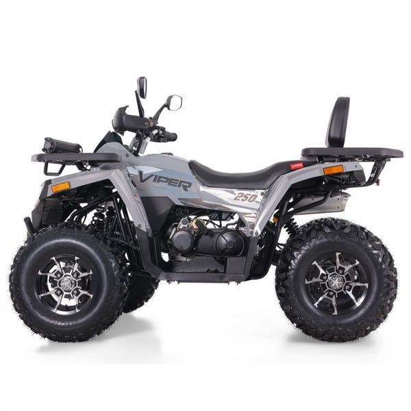 ATV pe benzină Viper 250 6857635 foto