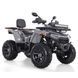 ATV pe benzină Viper 250 6857635 foto 1
