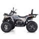 ATV pe benzină Viper 250 6857635 foto 3