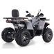 ATV pe benzină Viper 250 6857635 foto 2