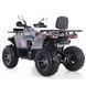 ATV pe benzină Viper 250 6857635 foto 4