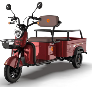 Triciclu electric cu remorca YADEA F110B F110B foto
