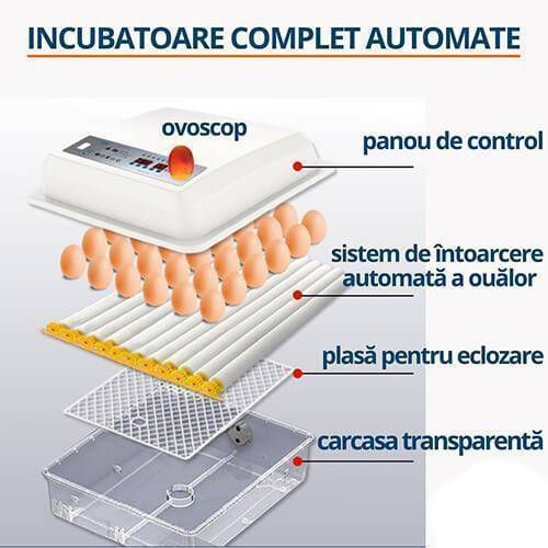 Incubator automat 64 ouă Ryaba DZE64 MSD023857 foto