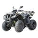 Бензиновый квадроцикл RATO 150 CC ID999MARKET_6844304 фото 1