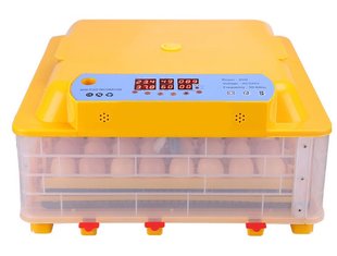 Incubator MS-36 ID999MARKET_6117849 foto