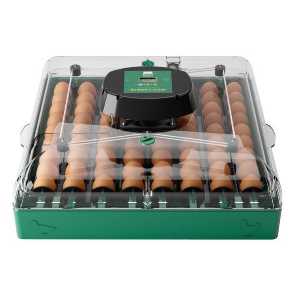 Incubator de ouă EU Profi C-72 C-72 foto