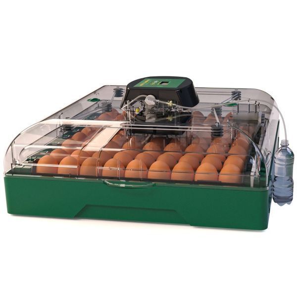 Incubator de ouă EU Profi C-72 C-72 foto