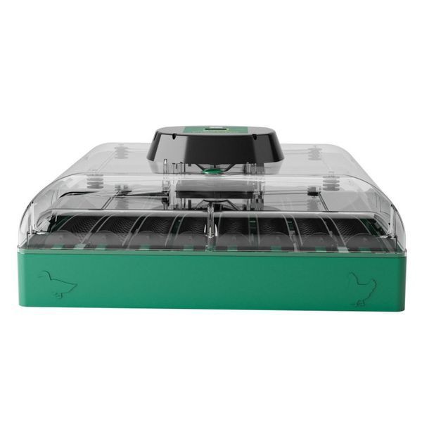 Incubator de ouă EU Profi C-72 C-72 foto