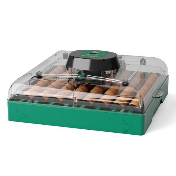 Incubator de ouă EU Profi C-72 C-72 foto