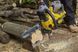 FERĂSTRĂU CU GRĂDINĂ FĂRĂ FIR STANLEY FATMAX SFMCCS630M1 ID999MARKET_6232035 foto 8
